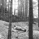 photo du film Rêve et silence