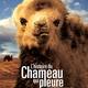 photo du film L'Histoire du chameau qui pleure