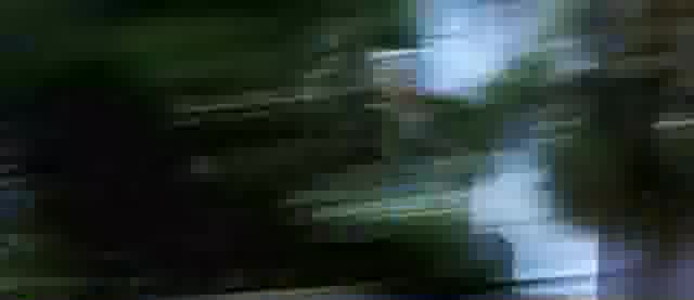 Extrait vidéo du film  Laurier blanc