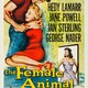 photo du film Femmes devant le désir