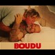 photo du film Boudu