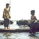 photo du film Gardien de buffles