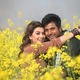 photo du film Maan Karate