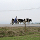 photo du film Le Grand paysage d'Alexis Droeven