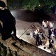 photo du film La Louve solitaire