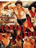 voir la fiche complète du film : Tarzan s évade