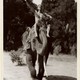 photo du film Tarzan s'évade