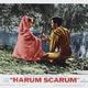 photo du film C'est la fête au harem