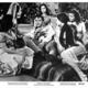 photo du film C'est la fête au harem