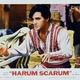 photo du film C'est la fête au harem