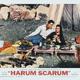 photo du film C'est la fête au harem