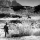 photo du film In Old Arizona