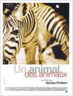 Un animal, des animaux