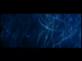 Un extrait du film  Les Dents de la mer