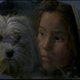 photo du film Chiens égarés