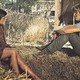 photo du film Une fille nommée Lolly Madonna