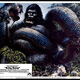 photo du film King Kong