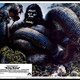 photo du film King Kong