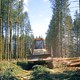 photo du film Le Temps des forêts