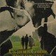 photo du film Un Héros comme tant d'autres