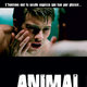 photo du film Animal