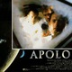 photo du film Apollo 13