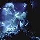 photo du film Aliens of the Deep