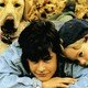 photo du film Compagnons d'aventure