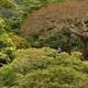 photo du film Il était une forêt
