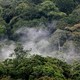 photo du film Il était une forêt