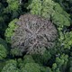 photo du film Il était une forêt