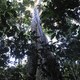 photo du film Il était une forêt