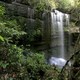 photo du film Il était une forêt