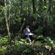 photo du film Il était une forêt