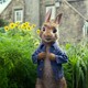 photo du film Pierre Lapin