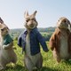 photo du film Pierre Lapin