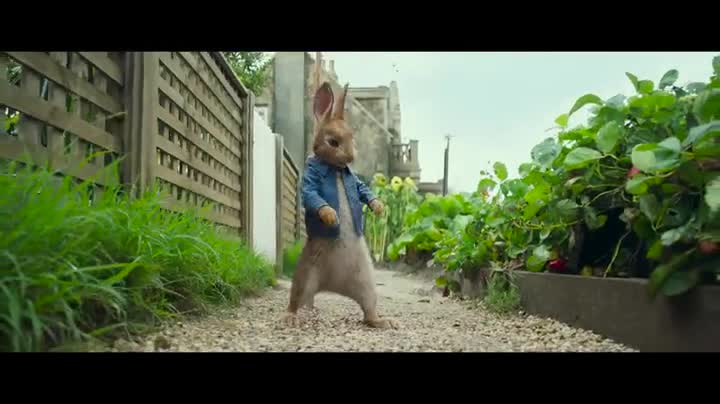 Extrait vidéo du film  Pierre Lapin