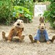 photo du film Pierre Lapin