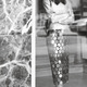 photo de Elodie Yung