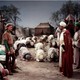 photo du film Richard Cœur de Lion