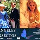 photo du film Des anges et des insectes