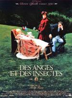 Des Anges Et Des Insectes