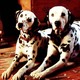 photo du film Les 101 dalmatiens