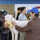 photo du film Bombon - el perro