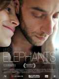 voir la fiche complète du film : Les Éléphants