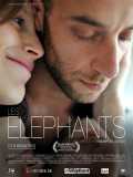 Les Éléphants