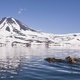 photo du film Terre des Ours