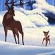 photo du film Bambi 2 : le prince de la forêt