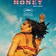 photo du film American Honey