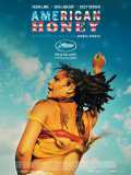 voir la fiche complète du film : American Honey